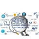 AI and SEO
